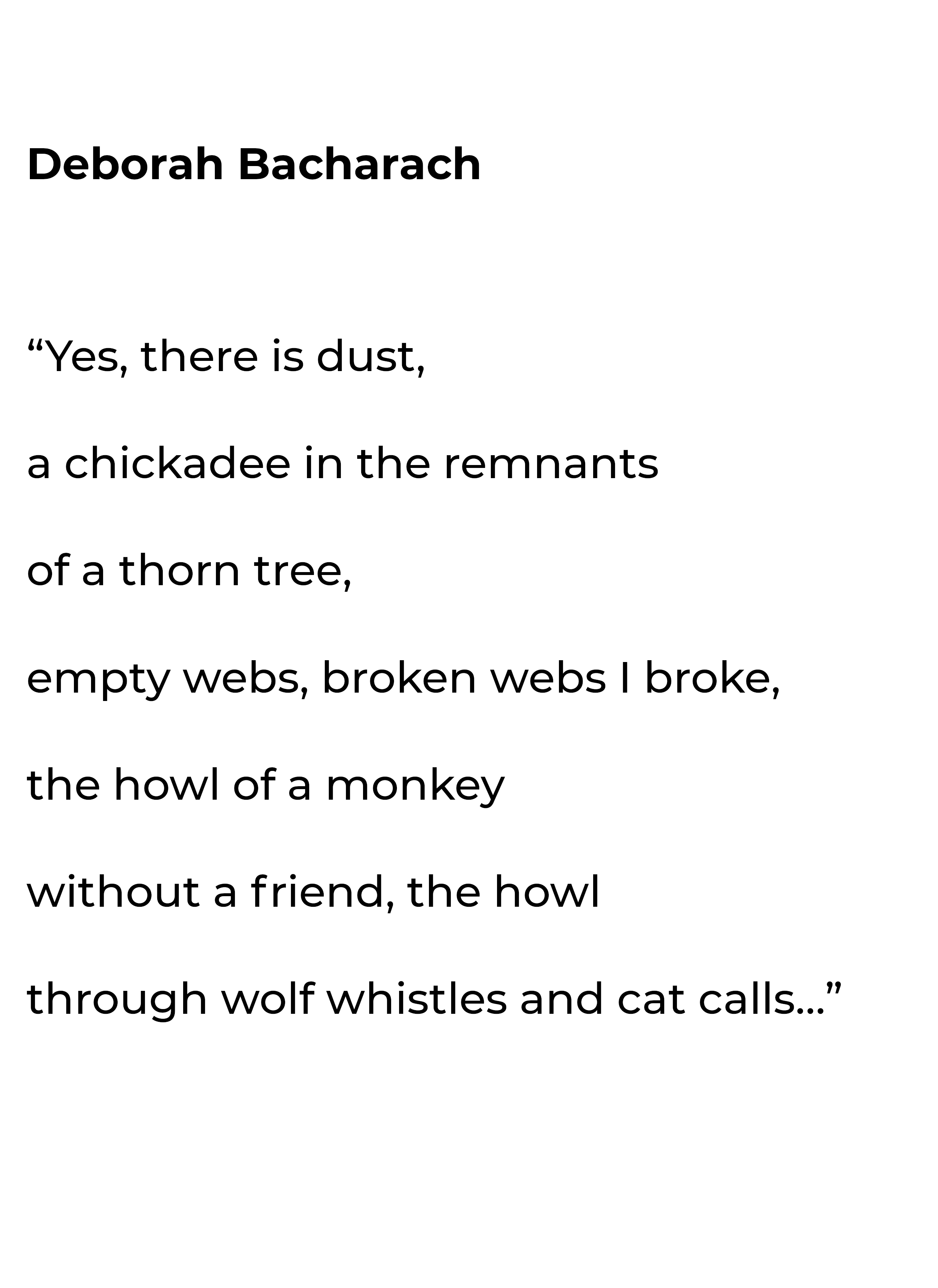 Deborah Bacharach's Poem
